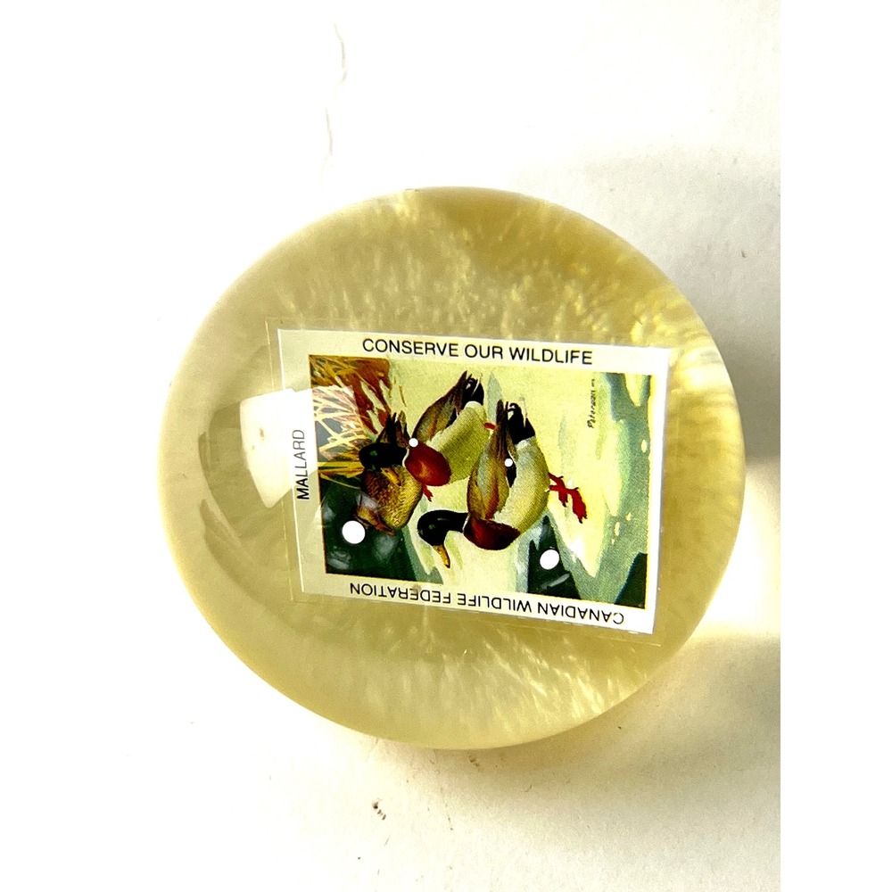 Tarax Infinity Canadian Wildlife Federation Mallard Duck Resin Paperweight 3"